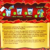 Voksende Egg Drage – Giant