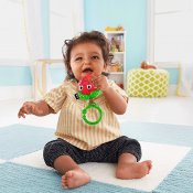 Fisher Price Rangler & Toy Set