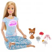 Barbie Ness, Meditasjon