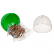 Byggeklosser Dinosaur