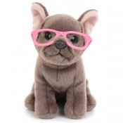 Studio Pets kosedyr, Shady med koffert