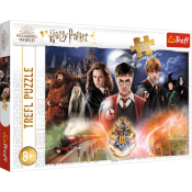 Harry Potter Puzzle 300 brikker