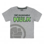 Hulk Kortermet T-skjorte
