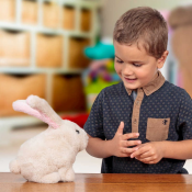 Jumping Rabbit gjør også støy og trekk på ørene