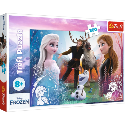 Puslespill 300 Brikker - Magic Time Disney Frost