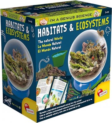 Eksperimentboks, Habitat og Økosystem