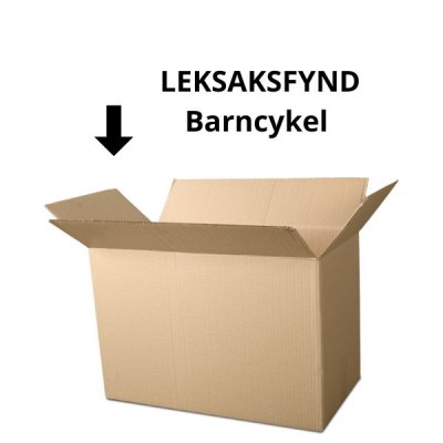 Fyndbox Frost Barn Bike 10 tommer med trening hjul og sykkel bar