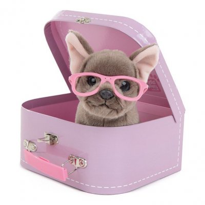 Studio Pets kosedyr, Shady med koffert